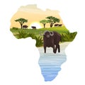 African black buffalo in the savannah. Grass and acacia trees. Realistic vector landscape landscapes in the form of a map of the c Royalty Free Stock Photo